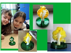 Magiczny kryształowy ogród (5)